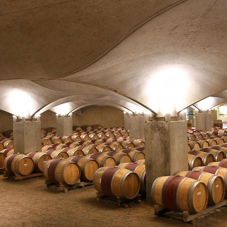 Chateau De Mercues Ngoại thất bức ảnh